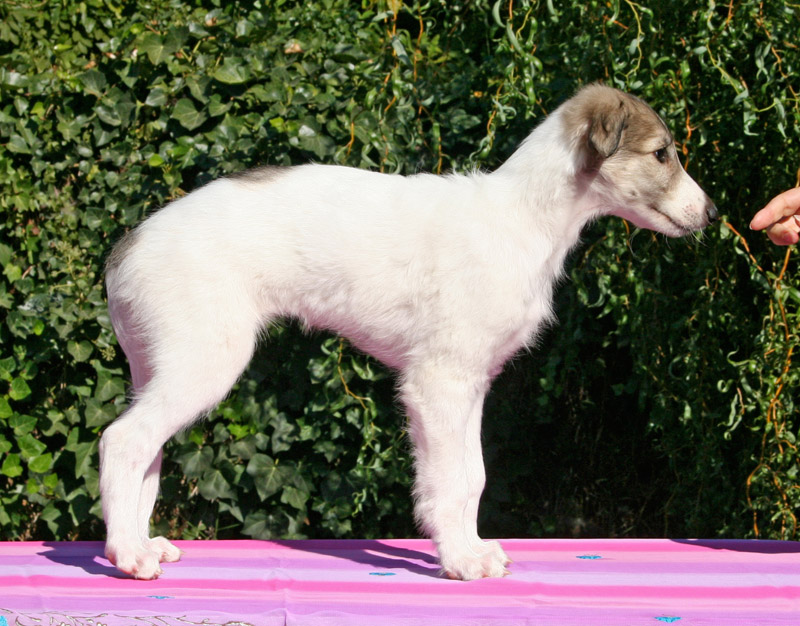 Surf Spots - Girl 2 Right